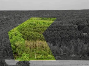 broker reciprocity