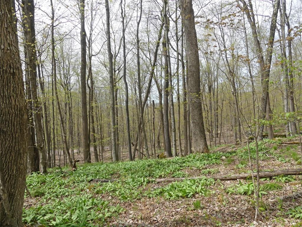 MLS #R1538835 image #0