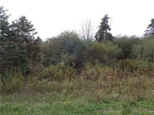 broker reciprocity