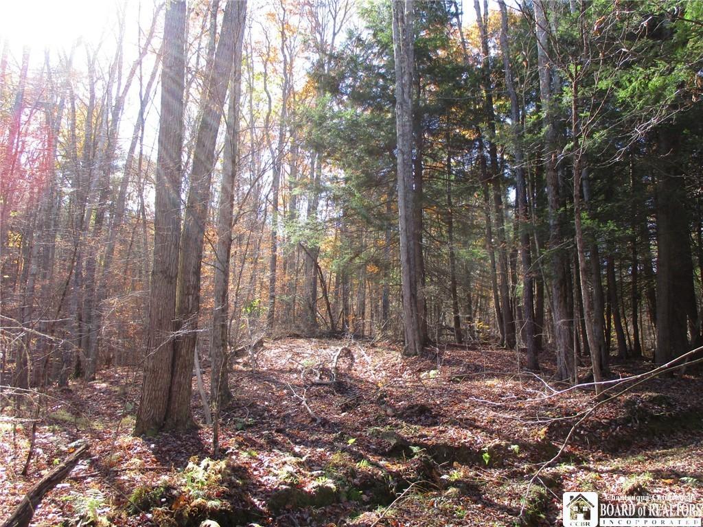 MLS #R1648489 image #0