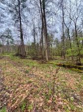 MLS #R1677035 image #0
