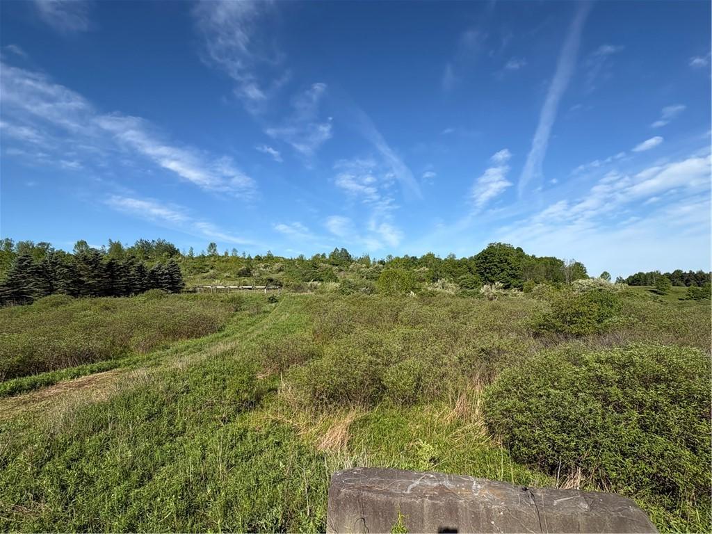 MLS #R1683681 image #0