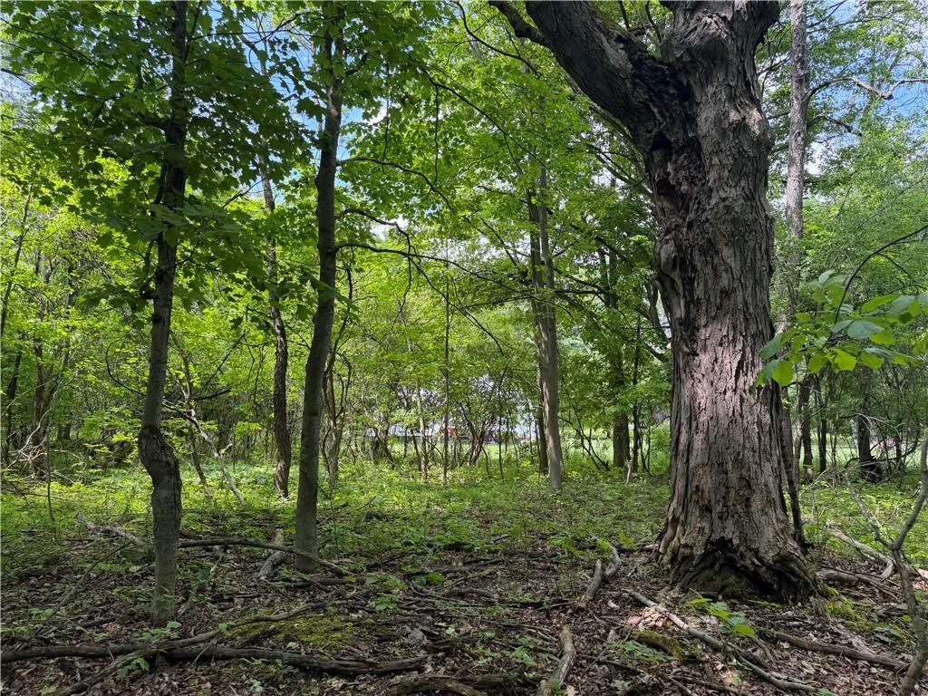 MLS #R1692464 image #0