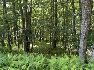MLS #R1697485 image #0