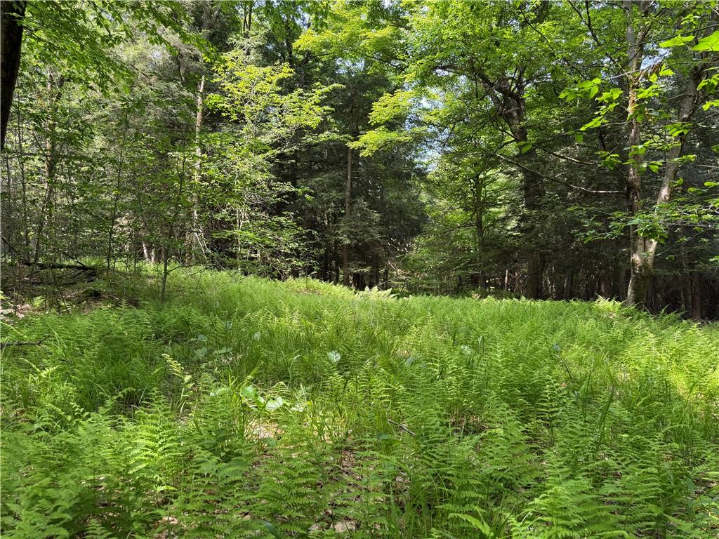 MLS #R1701847 image #0