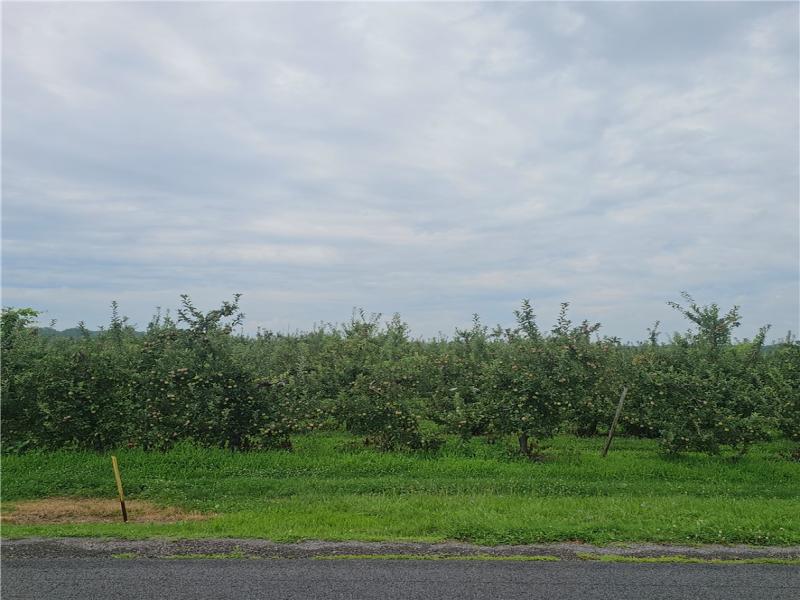 MLS #R1705543 image #0