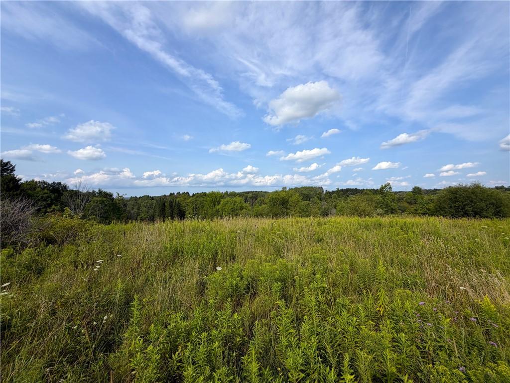 MLS #R1707062 image #0