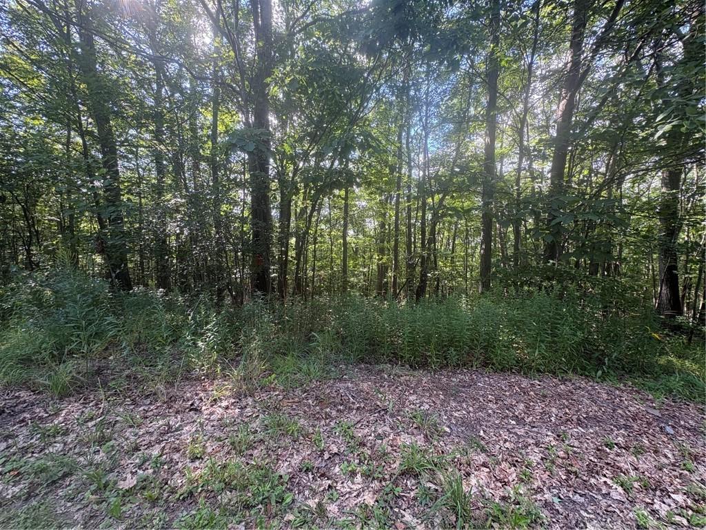 MLS #R1708433 image #0