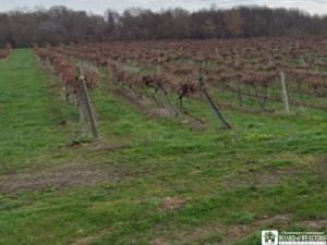MLS #R1709908 image #0