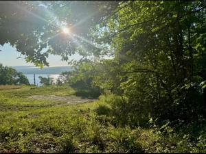 MLS #R1711938 image #0