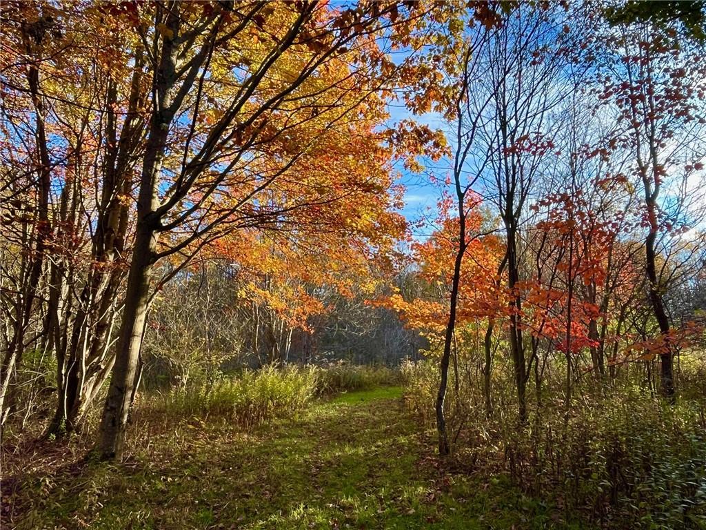 MLS #R1712271 image #0