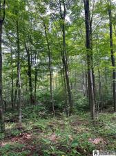 MLS #R1714465 image #0