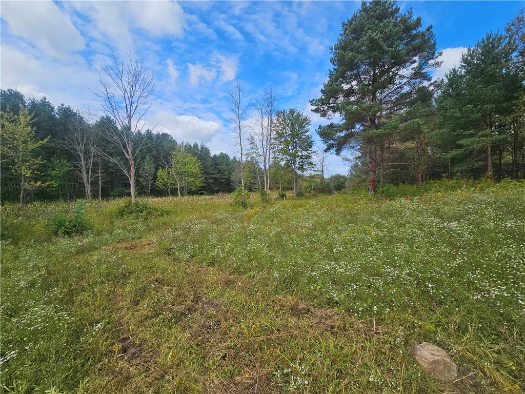 MLS #R1715582 image #0