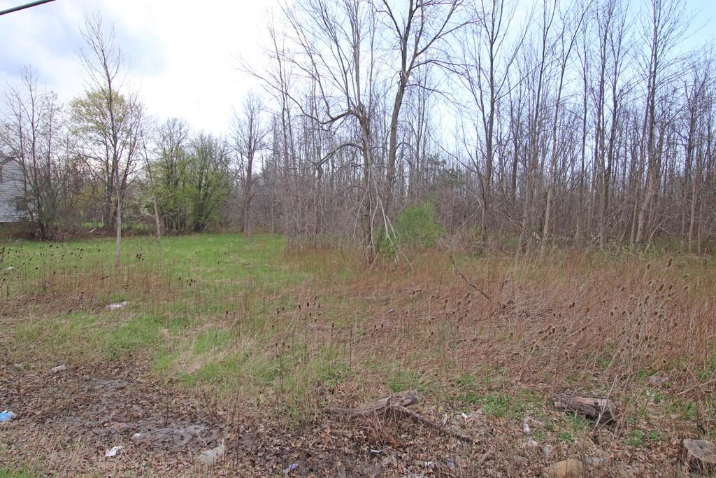 MLS #R1716542 image #0