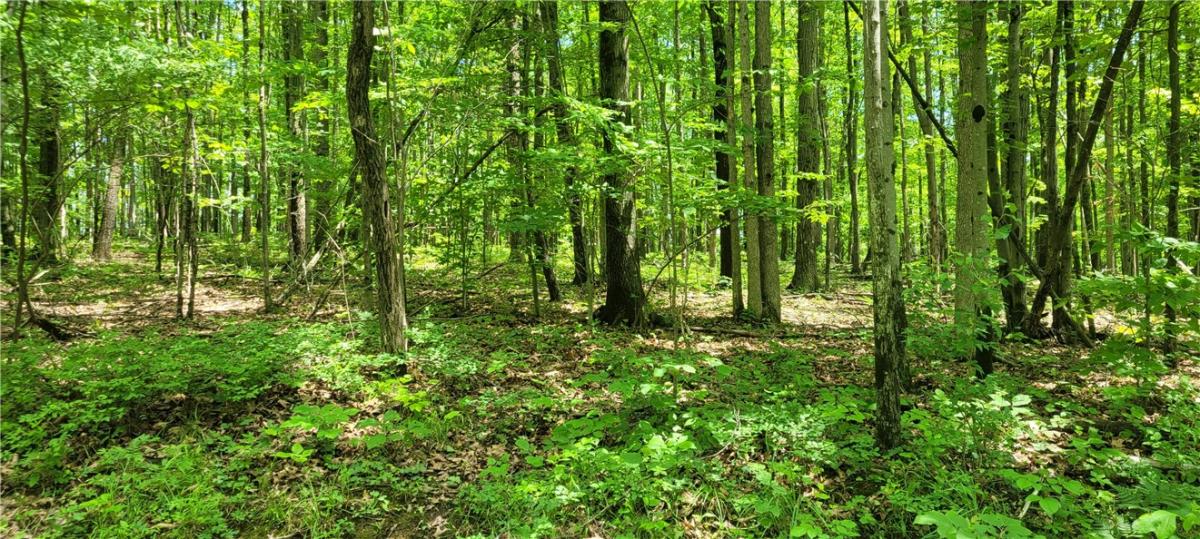 MLS #R1717256 image #0