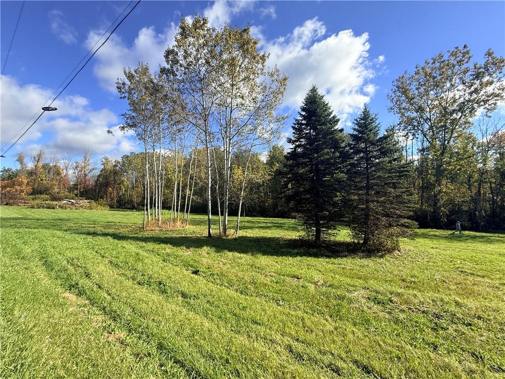 MLS #R1721158 image #0