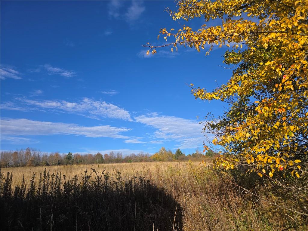 MLS #R1722178 image #0