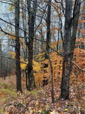 MLS #R1722389 image #0