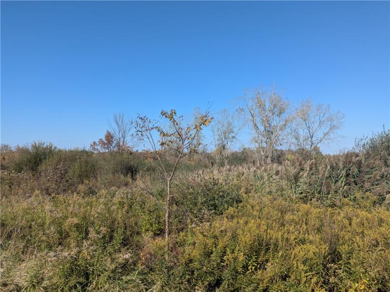 MLS #R1724754 image #0
