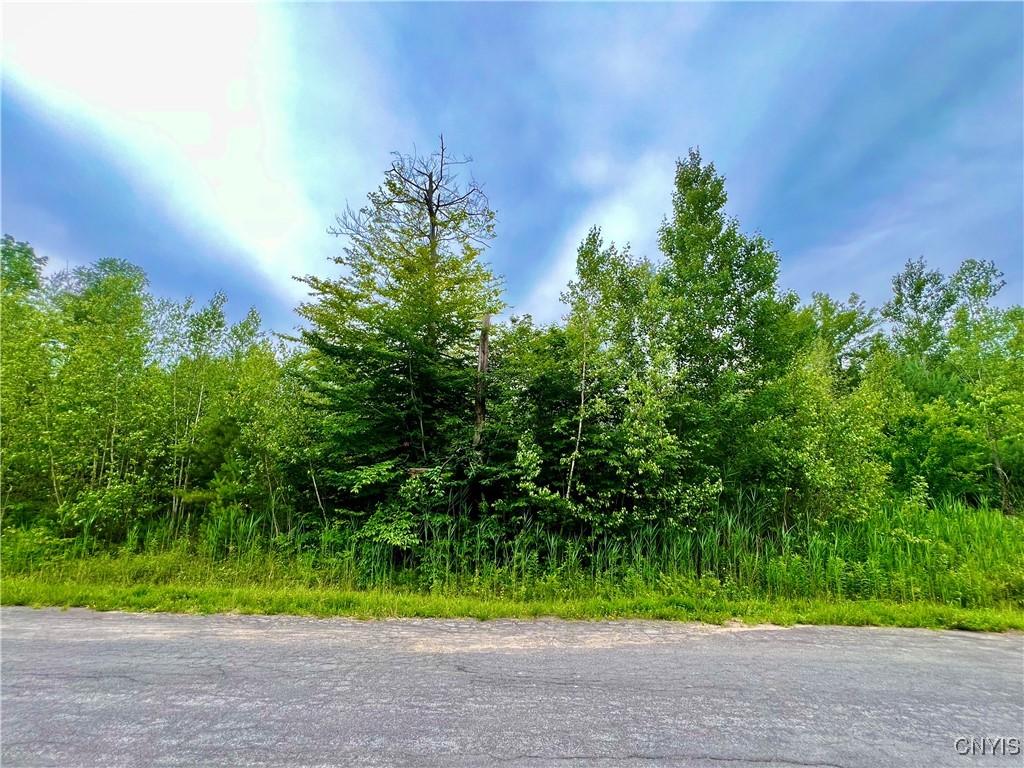 MLS #S1627049 image #0