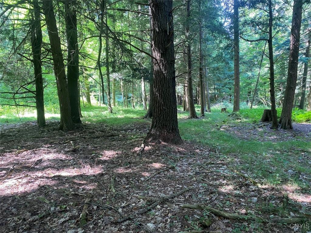 MLS #S1634148 image #0