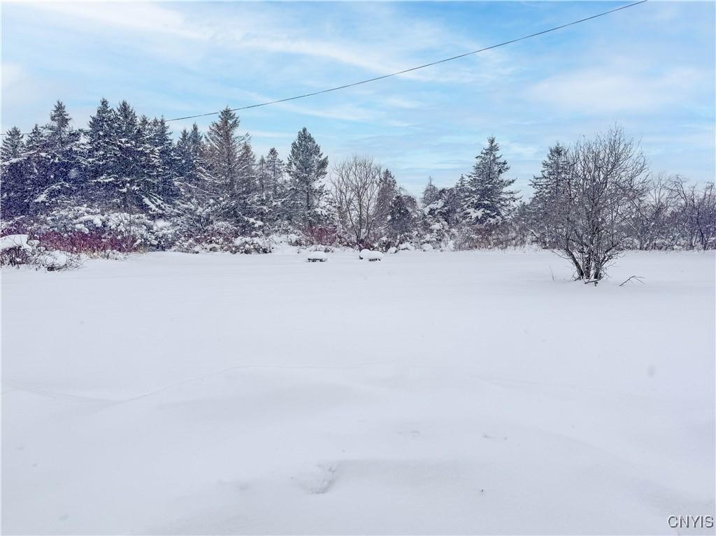 MLS #S1661115 image #0
