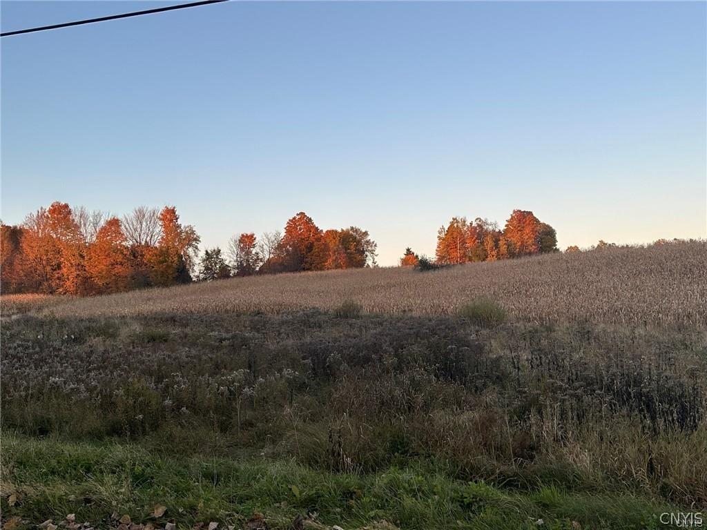 MLS #S1668474 image #0