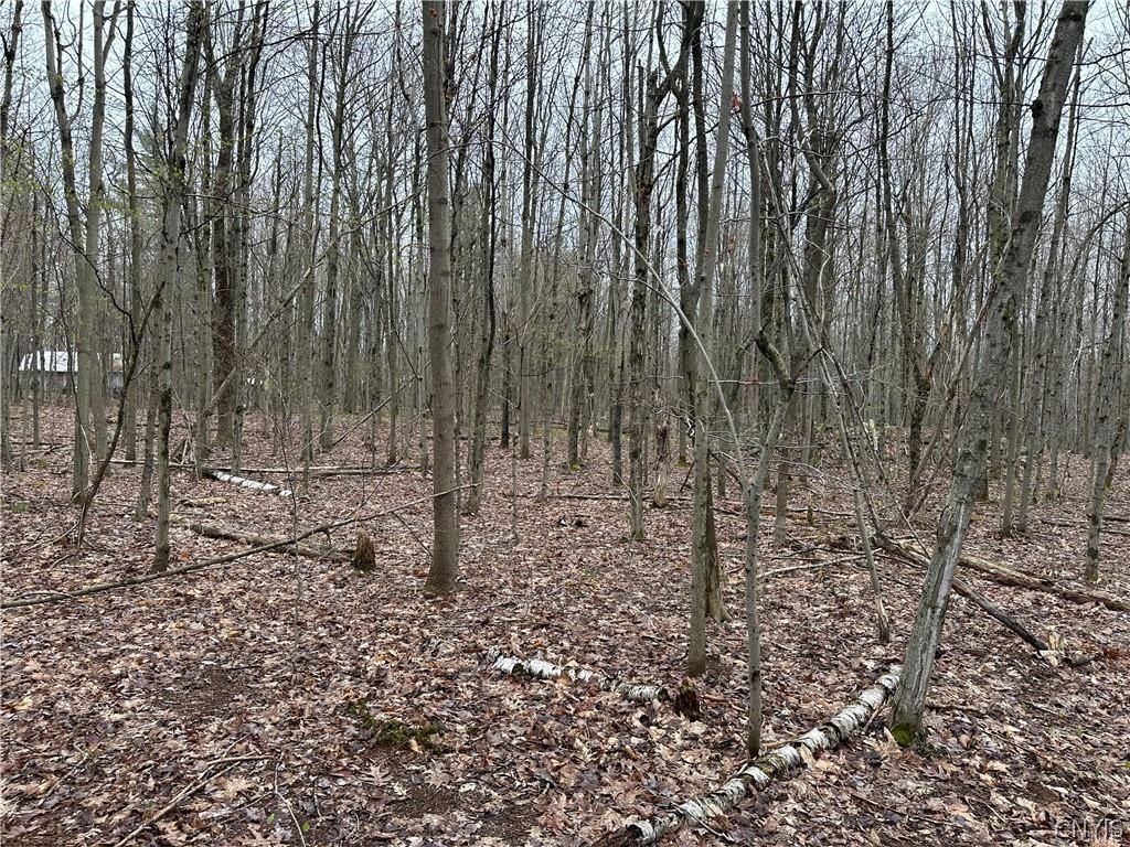 MLS #S1669222 image #0