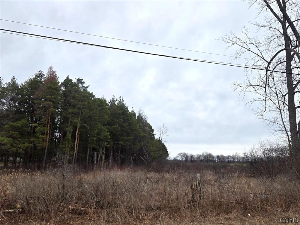 MLS #S1669395 image #0