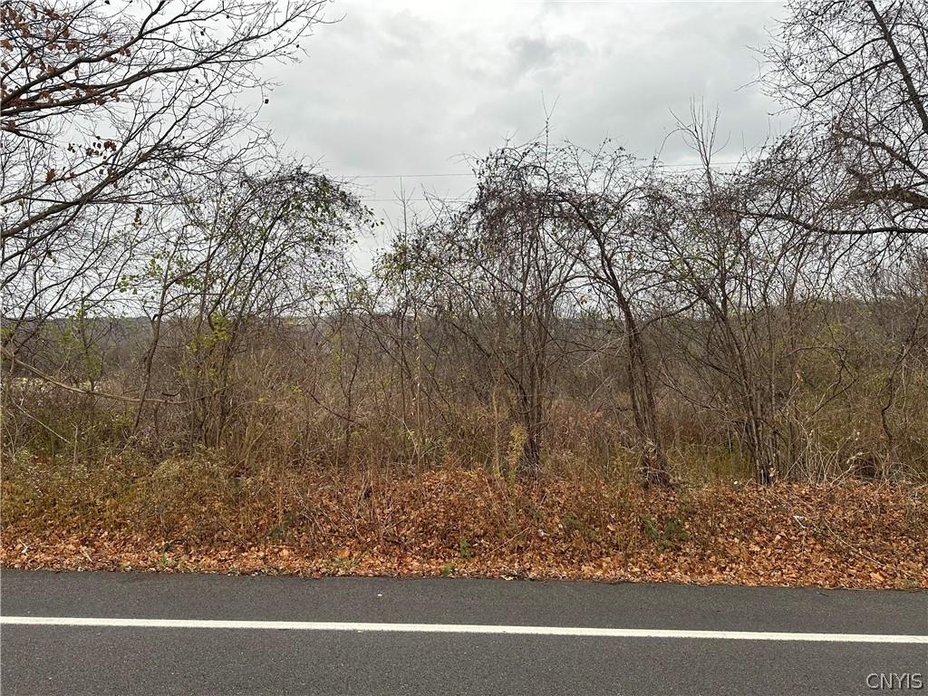 MLS #S1677175 image #0