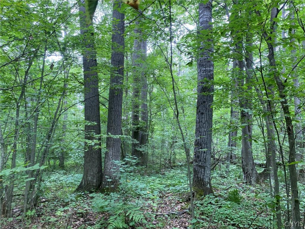 MLS #S1678161 image #0