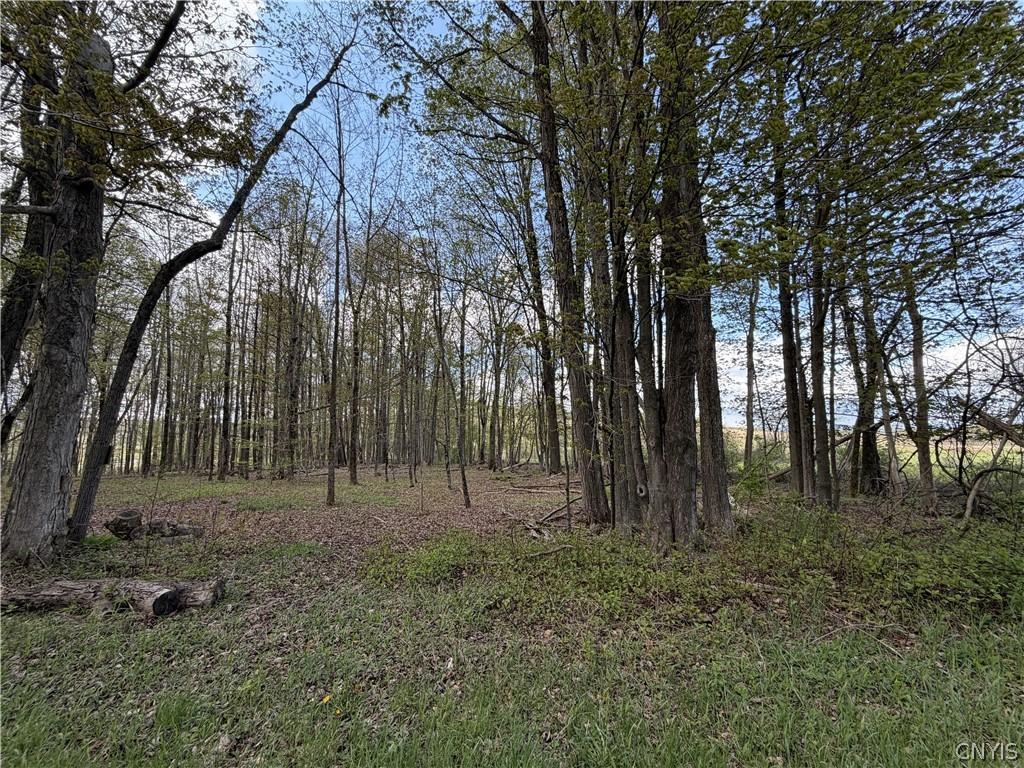 MLS #S1679913 image #0