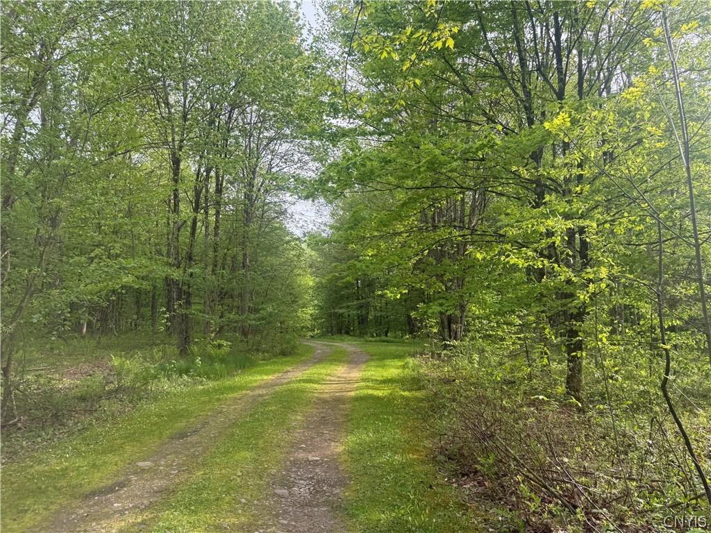 MLS #S1682803 image #0