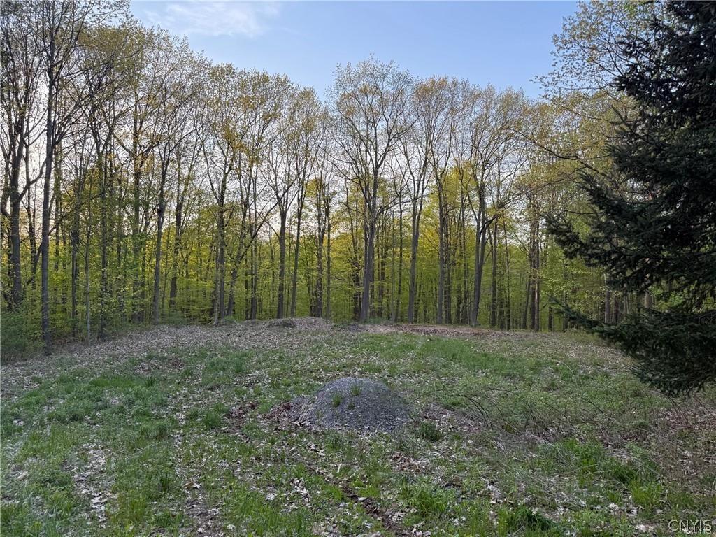 MLS #S1684786 image #0