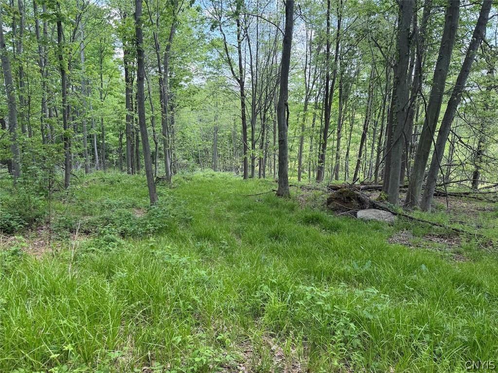 MLS #S1685948 image #0