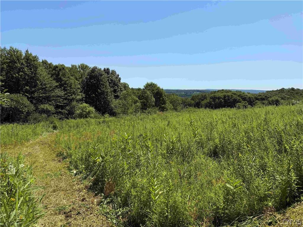 MLS #S1690793 image #0