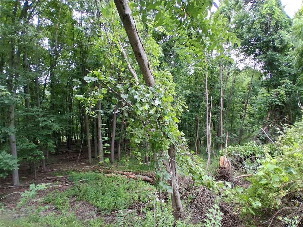 MLS #S1702868 image #0
