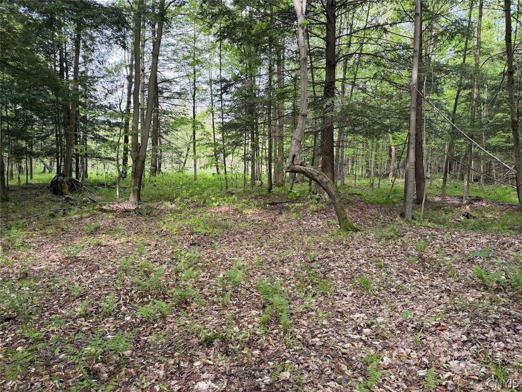MLS #S1712152 image #0