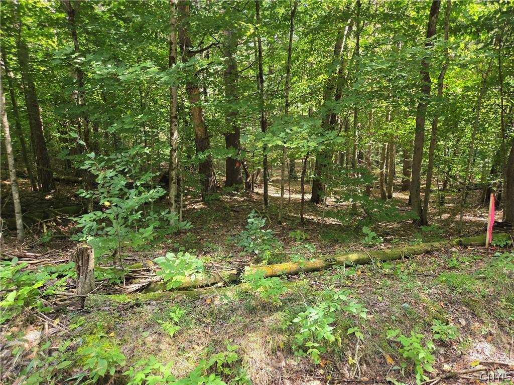 MLS #S1712186 image #0