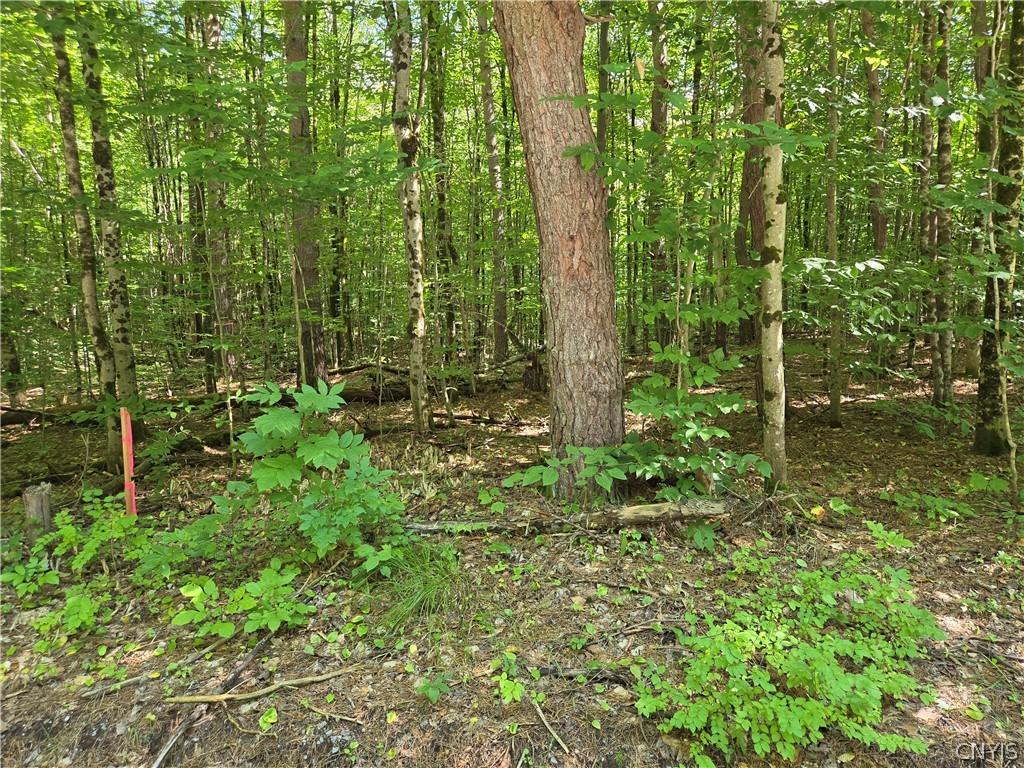 MLS #S1712191 image #0