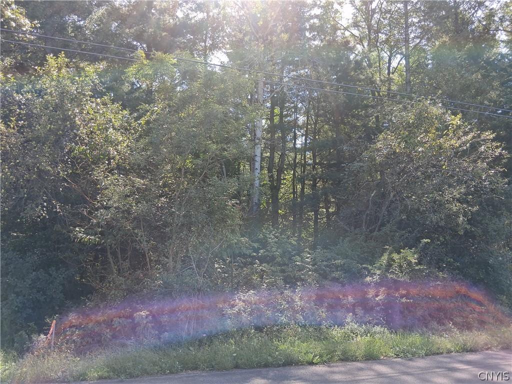 MLS #S1712234 image #0