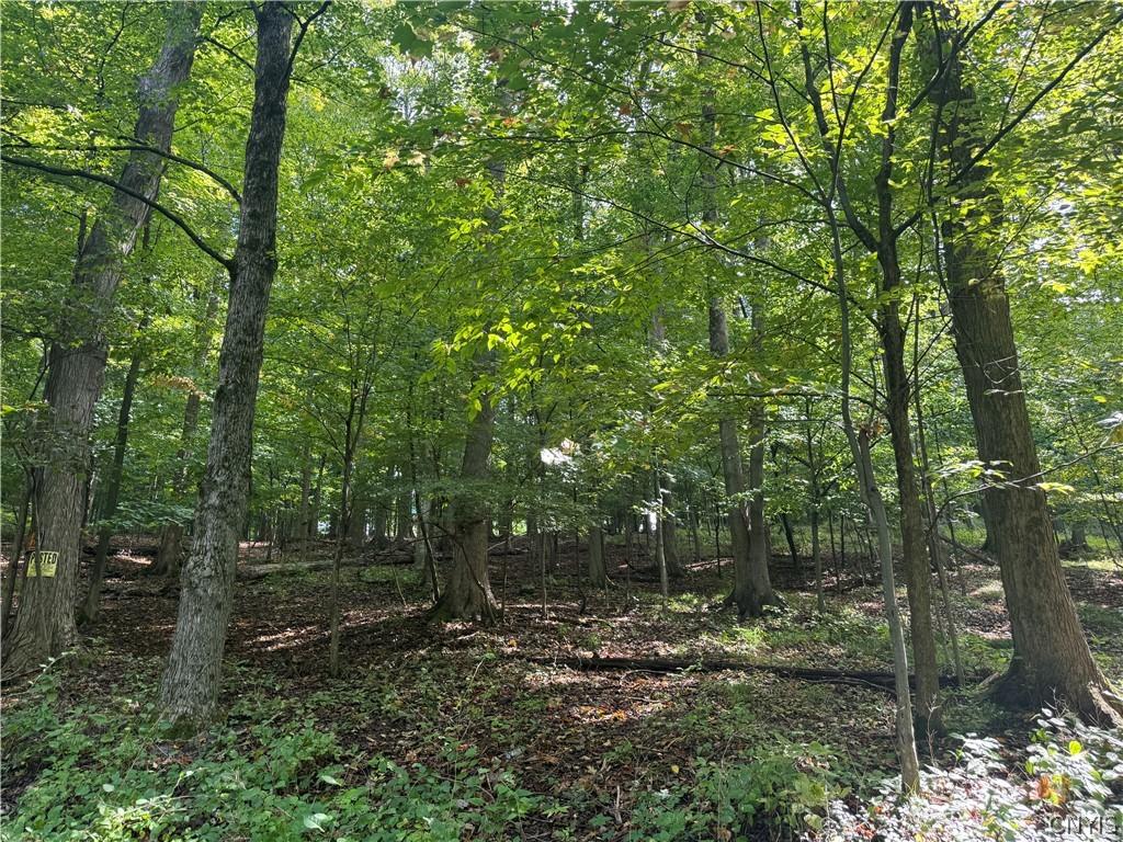 MLS #S1714112 image #0