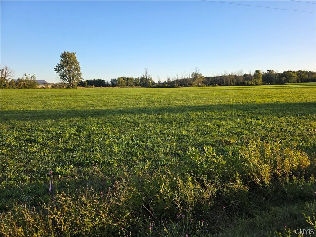 MLS #S1714854 image #0