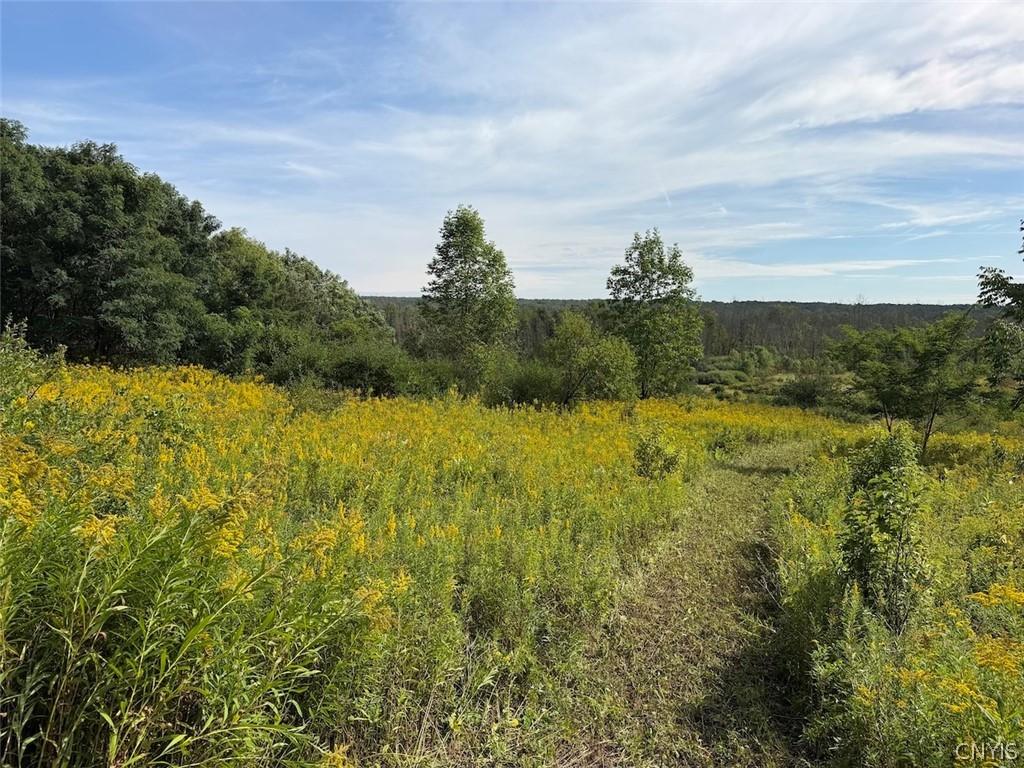 MLS #S1685948 image #0