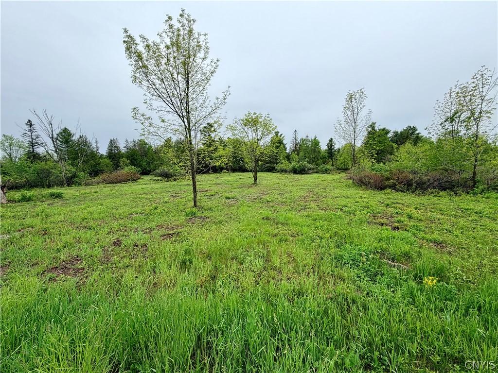 MLS #S1718471 image #0