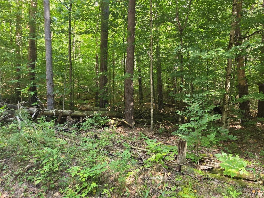 MLS #S1721701 image #0