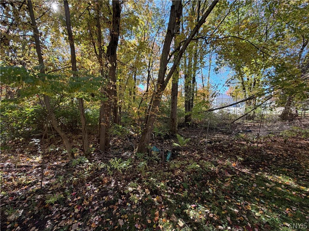 MLS #S1723829 image #0
