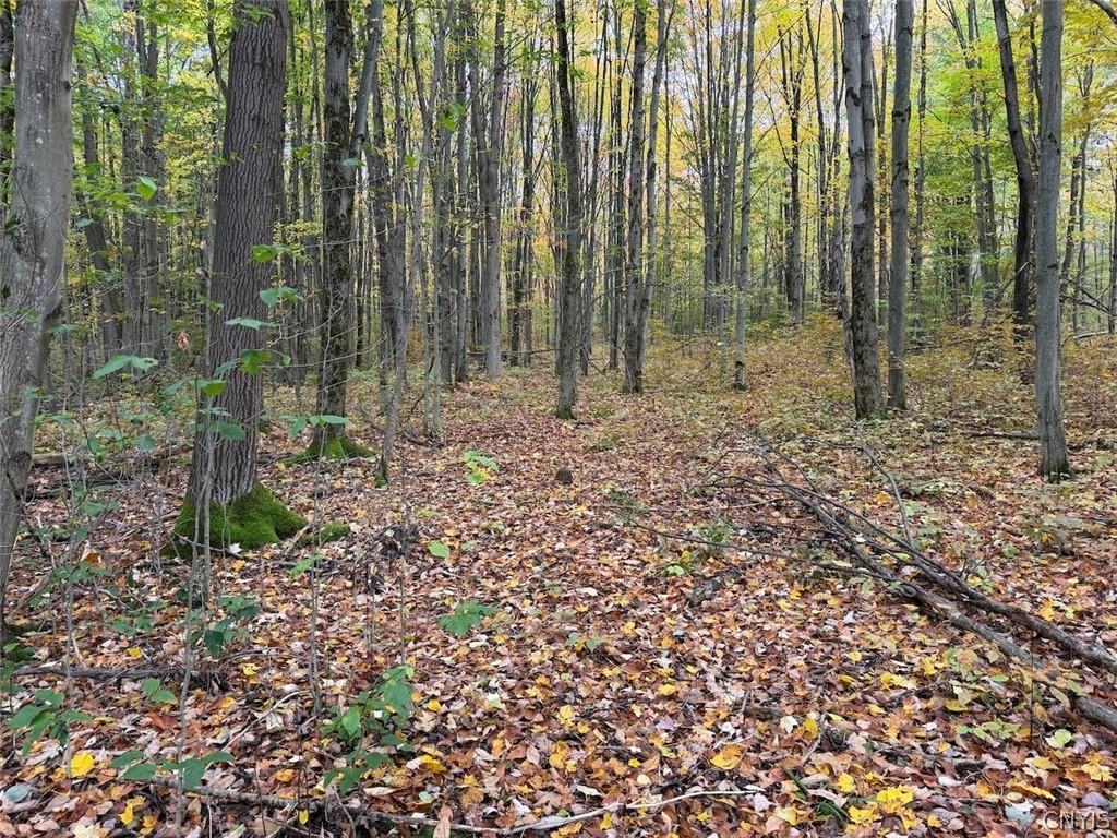 MLS #S1724165 image #0