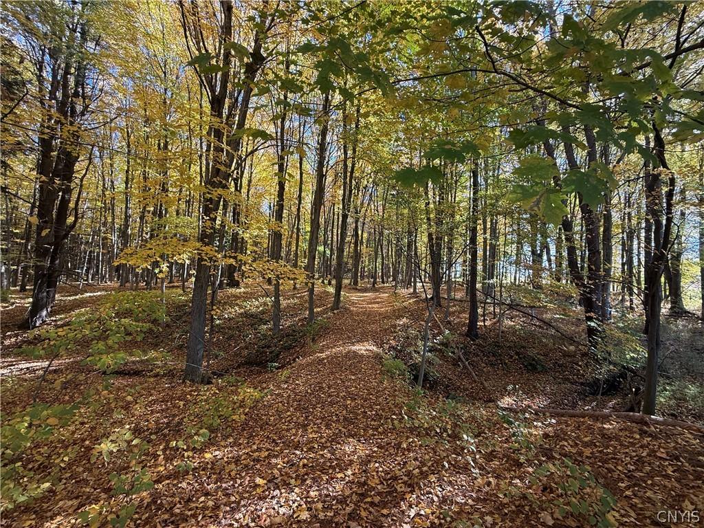 MLS #S1724222 image #0